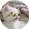 tiffanyjiang379